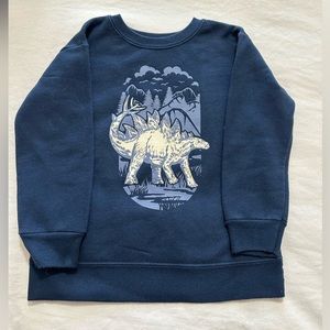 Dinosaur Hoodie.